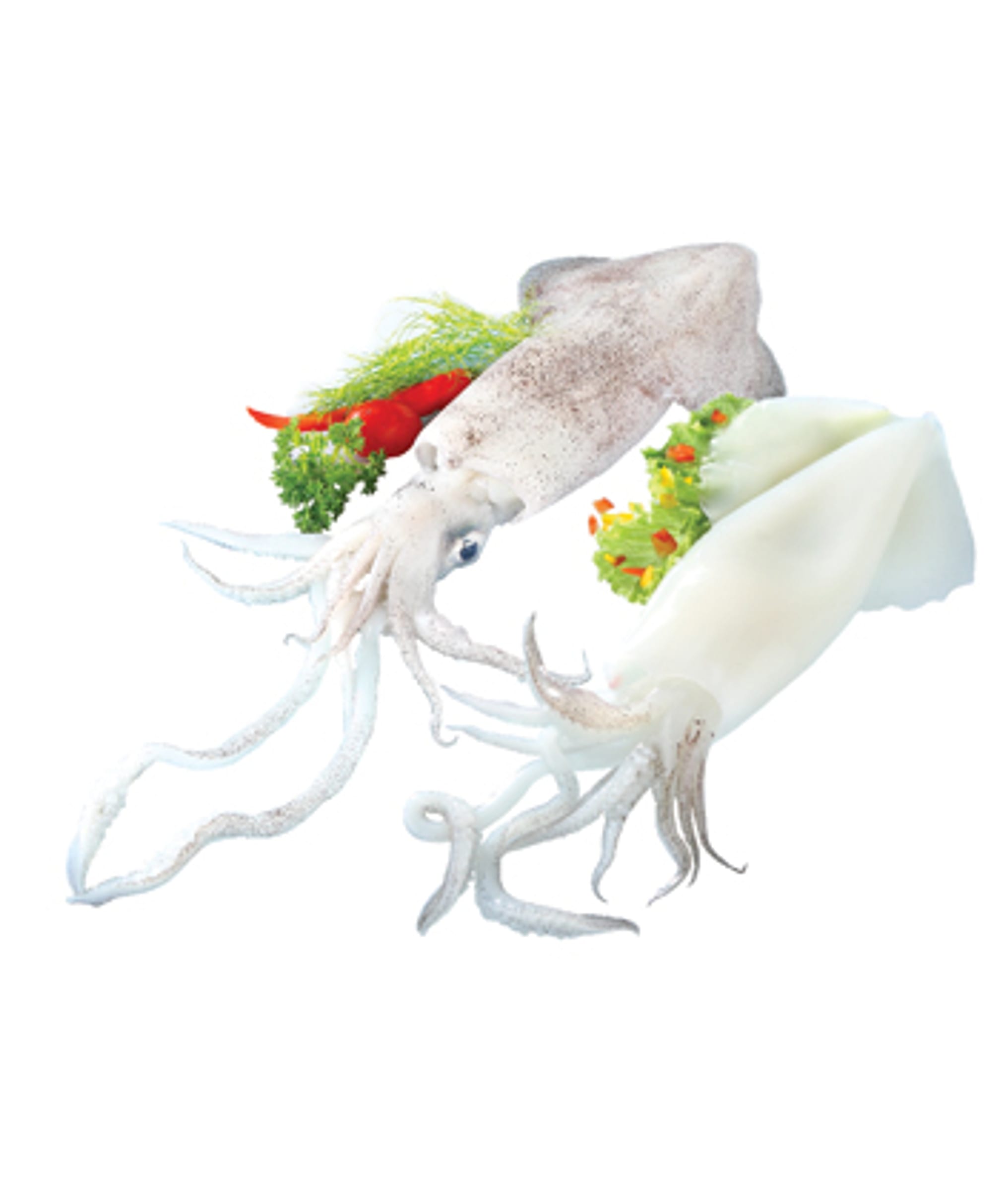 Whole squid with tentacles splayed, styled with herb and chili garnish